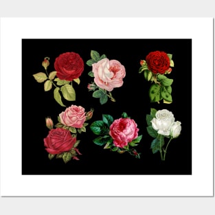 Roses Bouquet Posters and Art